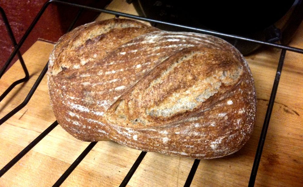 my retarder-proofer loaded with shaped loaves and trays of bagels the night before a bake (placeholder)