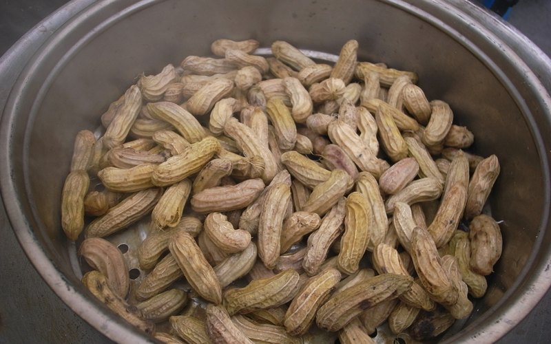 How to Actually Boil Them