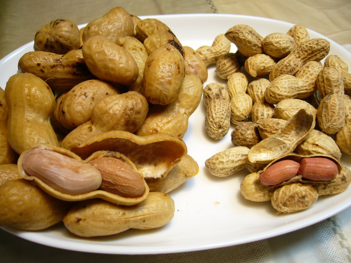 Boiled large-podded peanuts beside ordinary ones, Katori City, Japan — the size difference a boiling-specific variety makes