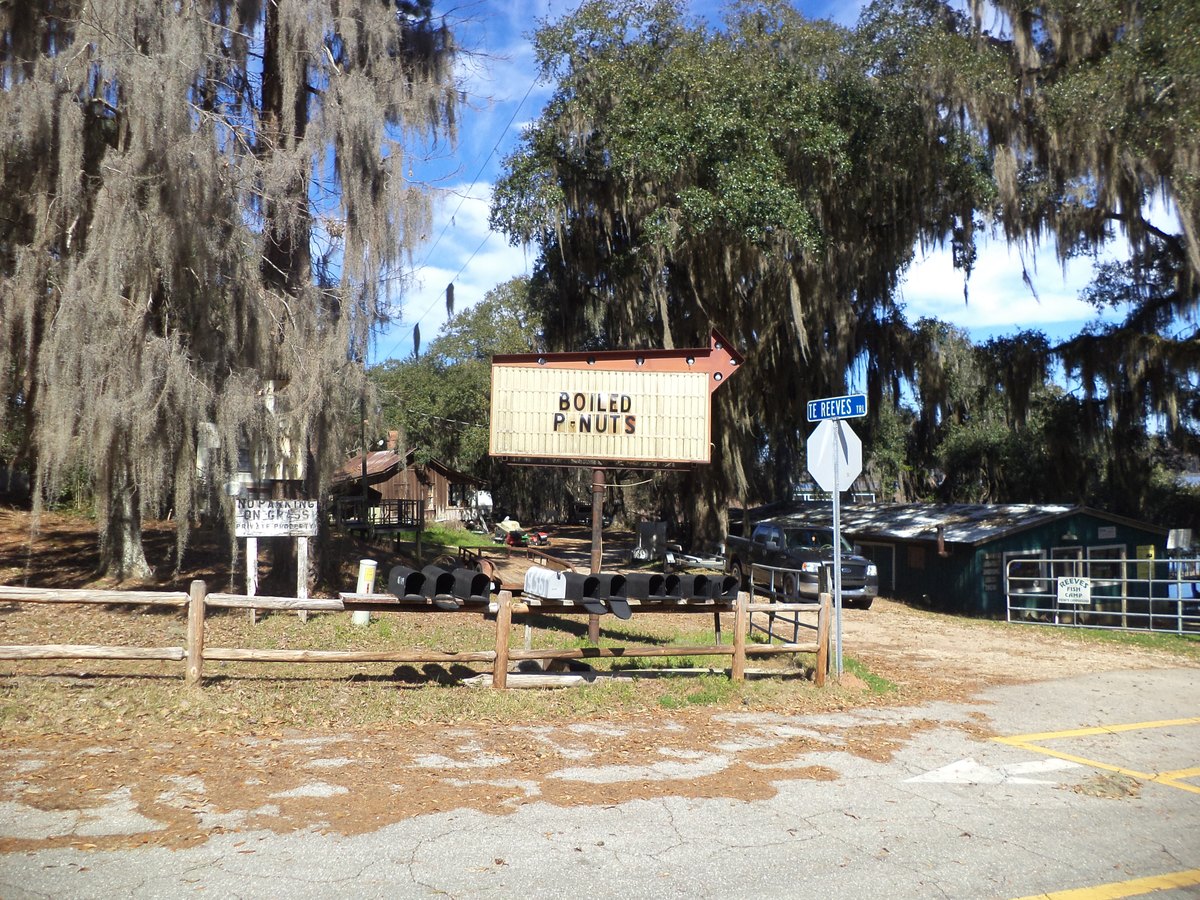 A boiled-peanut sign under the live oaks — the entire storefront
