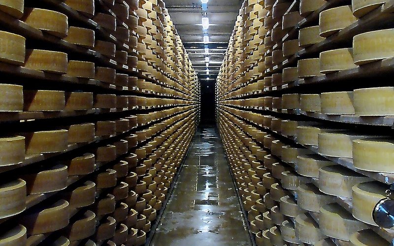 Cheese