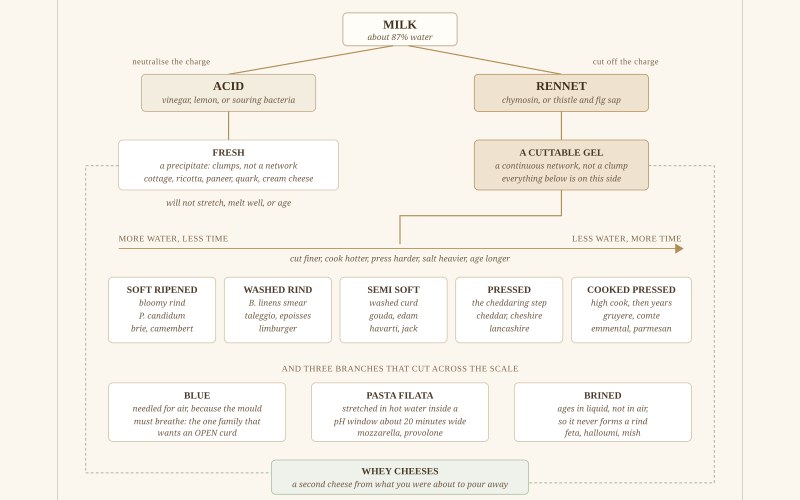 The Family Tree