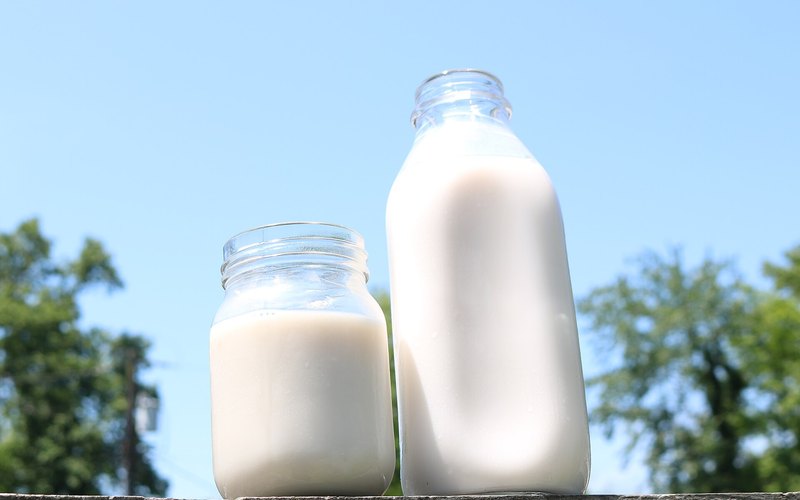 The Milk