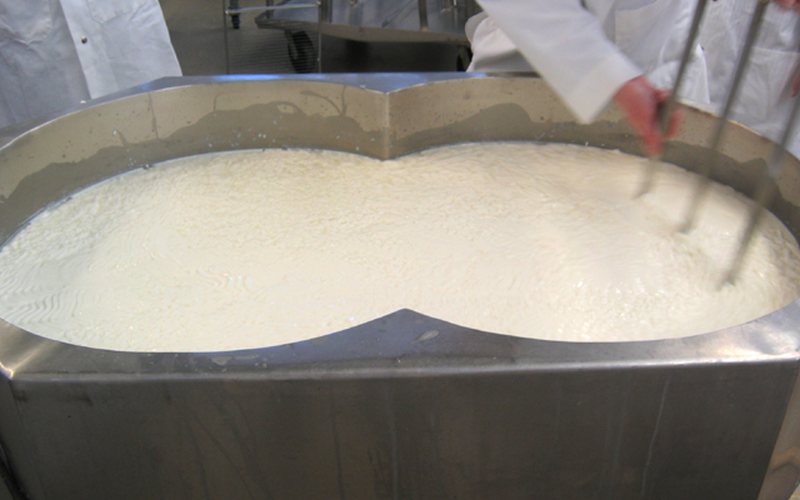 What Cheese Actually Is