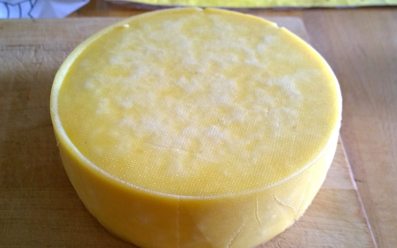 Hard-Pressed & Cheddar