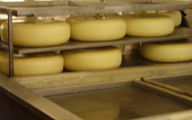 Semi-Soft Washed-Curd