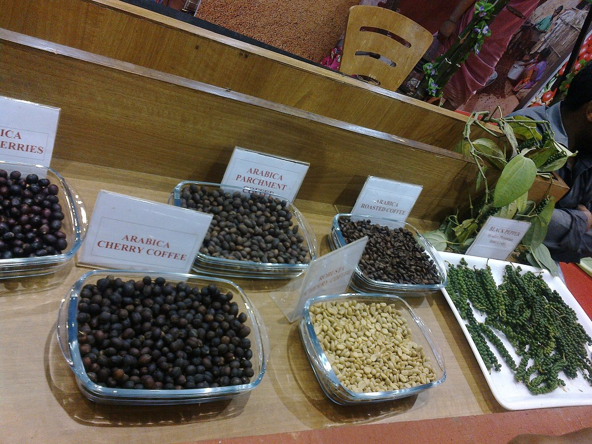 A grower's display, labelled dish by dish: dried arabica cherries, parchment coffee, green beans, and roasted. Same seed, four stages of undress (the peppercorns belong to the next stall)
