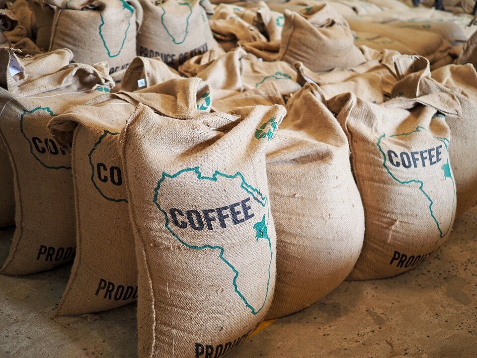 Rows of full burlap coffee sacks printed with an outline of Africa and the word COFFEE