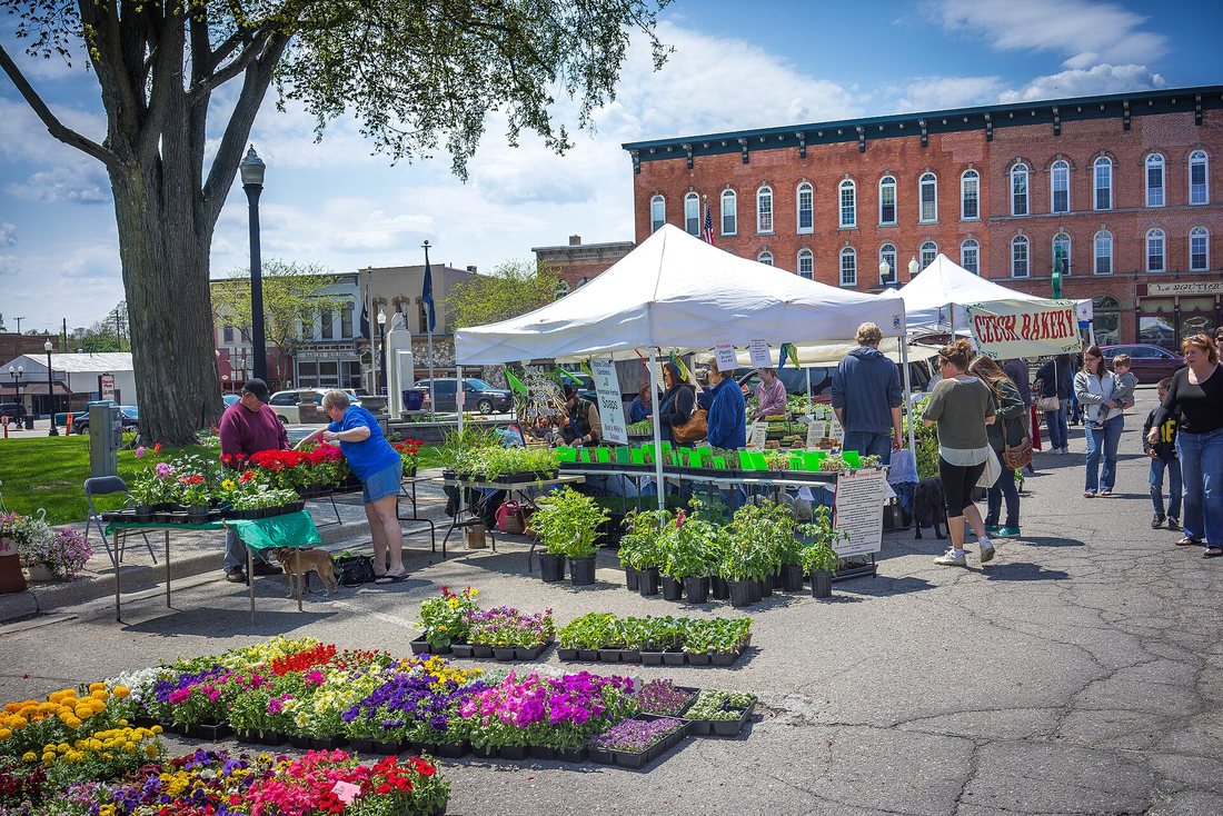 A farmers market on a town street: white canopies, tables of flowers and plants, shoppers
