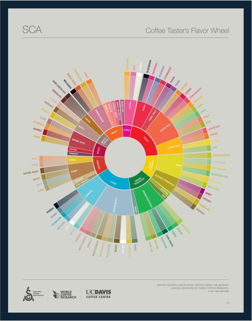 The Coffee Taster's Flavor Wheel poster: a ring of nine colored segments at the centre labelled floral, fruity, sour and fermented, green and vegetative, other, roasted, spices, nutty and cocoa, and sweet, each fanning out into two further rings of more specific flavor names