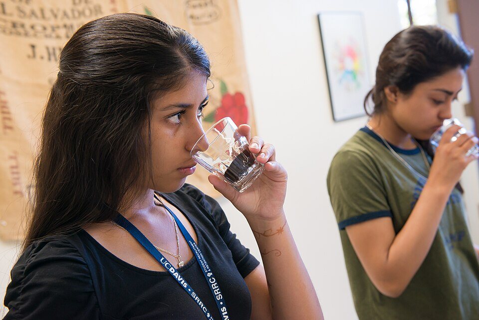 Two students each hold a small glass of dry ground coffee up to the nose