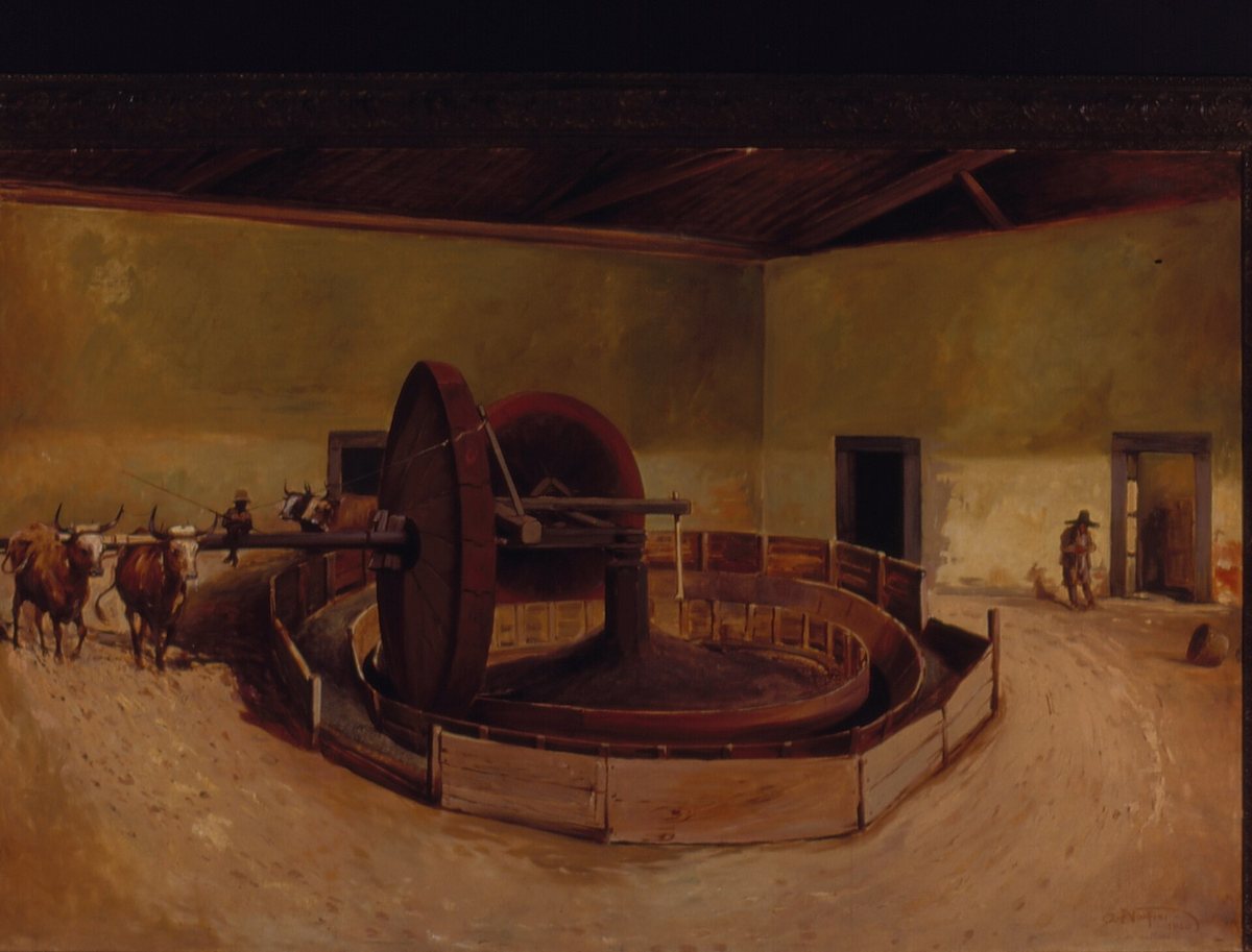 Ox-driven coffee processing at Campinas, 1850. Brazil industrialised coffee decades before it abolished the slavery that ran it