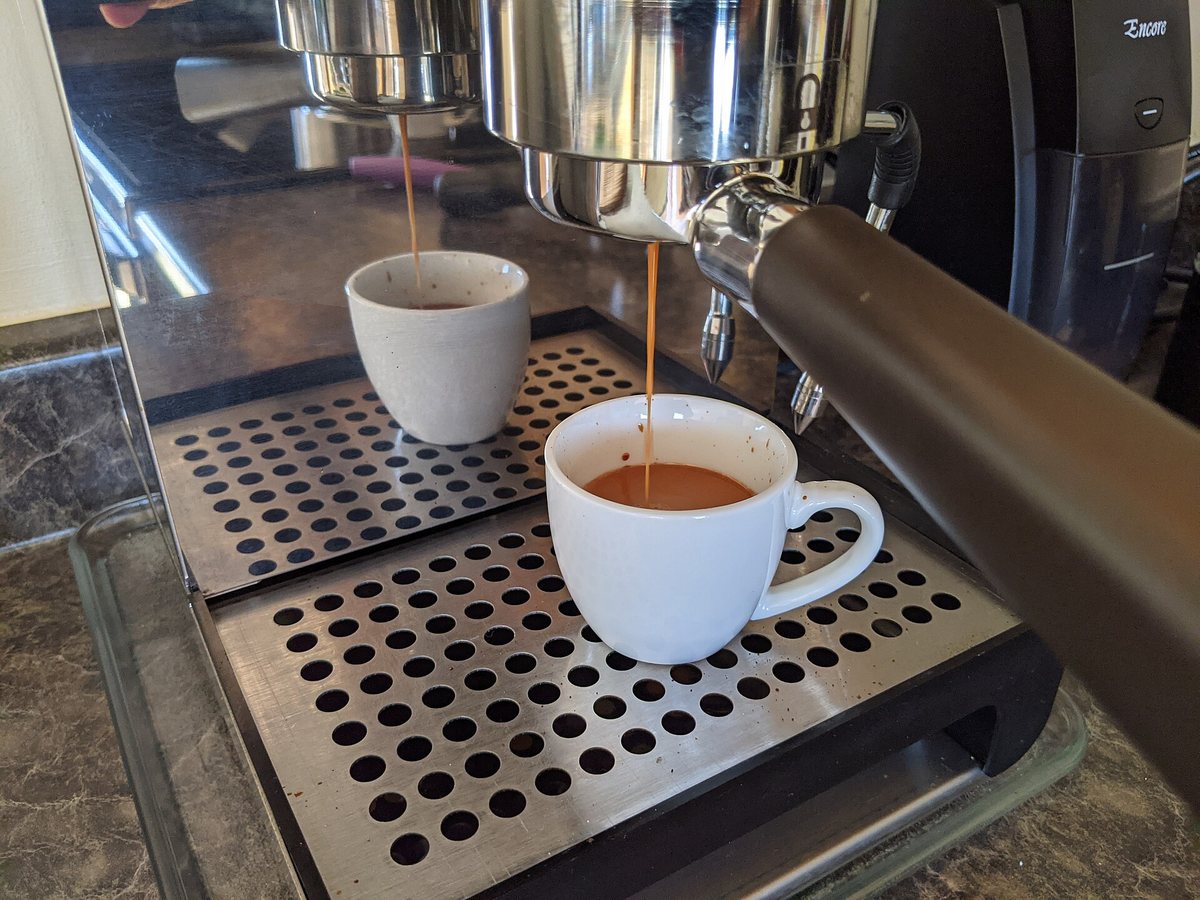 A shot pulling from a naked portafilter — the whole basket weeping at once, the drips converging into a single dark stream. This is what "it went right" looks like
