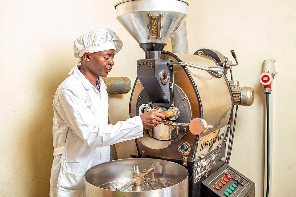 A man in white overalls and a hair net holds a sample scoop drawn from the front of a small drum roaster