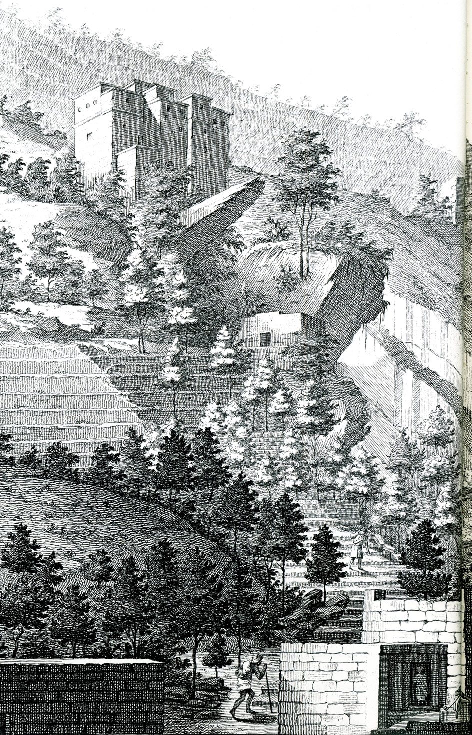Yemen's terraces, drawn in the 19th century. Coffee has been farmed on this shape of ground for five hundred years, and the terraces are still there