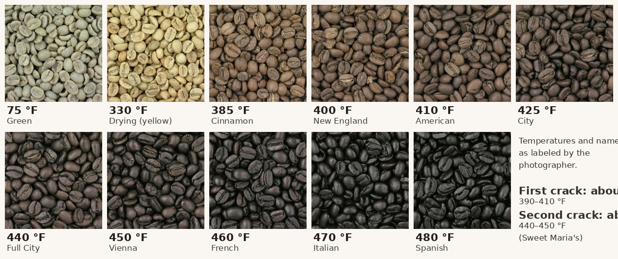 A chart of eleven photographs of the same coffee at increasing roast degrees, from green at 75 °F through yellow drying at 330 °F, cinnamon at 385 °F, City at 425 °F, Full City at 440 °F, to Spanish at 480 °F, almost black and oily
