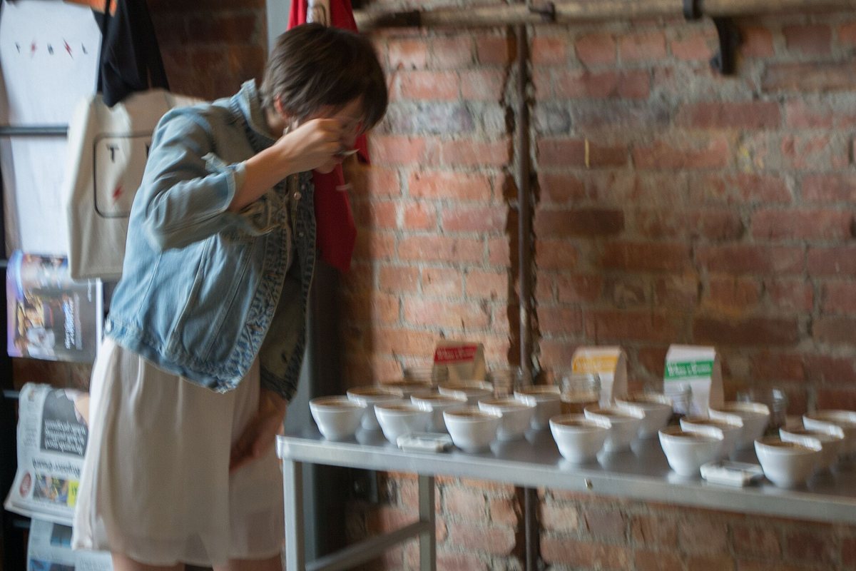 The cupping table: identical doses, identical water, ground and brewed side by side, then slurped hard enough to spray the coffee across your palate. It looks ridiculous and there is no substitute for it