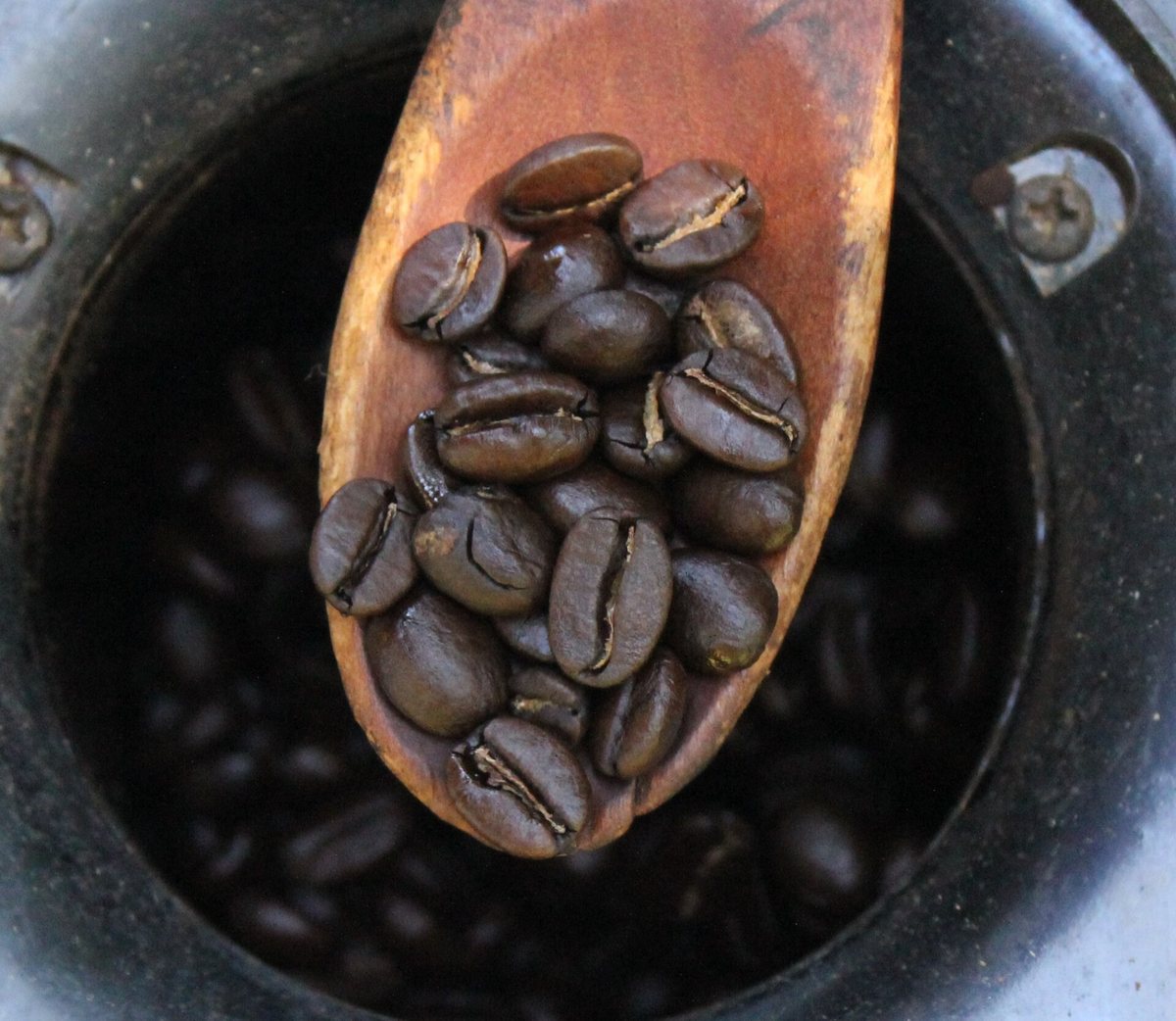 And what waiting for second crack looks like: near-black, and shining with the bean's own oil. If your beans look like this and you didn't mean it, you went too far