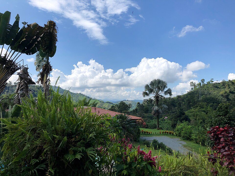 A green valley with a pond, palms and a red-roofed building, under a blue sky with white clouds