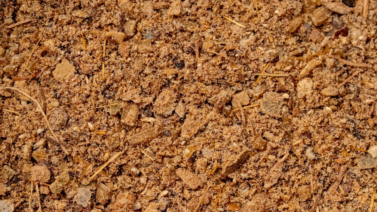Ground garam masala — coarser and browner than a curry powder, and with no turmeric to make it yellow