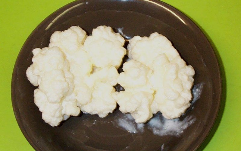 Kefir