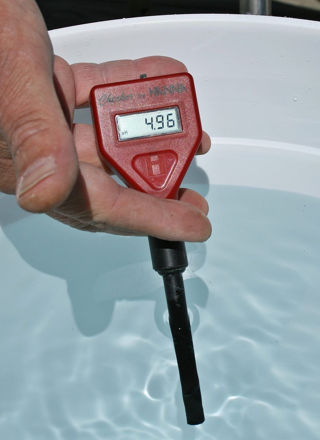 A hand-held pH meter reading 4.96 — just above the 4.6 line. A finished vegetable ferment lands near 3.4, well below it