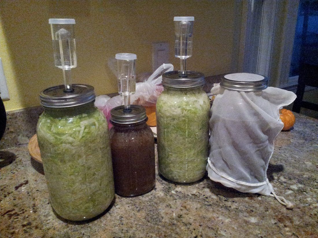 Several jars of vegetables fermenting under airlocks — different vegetables, one process