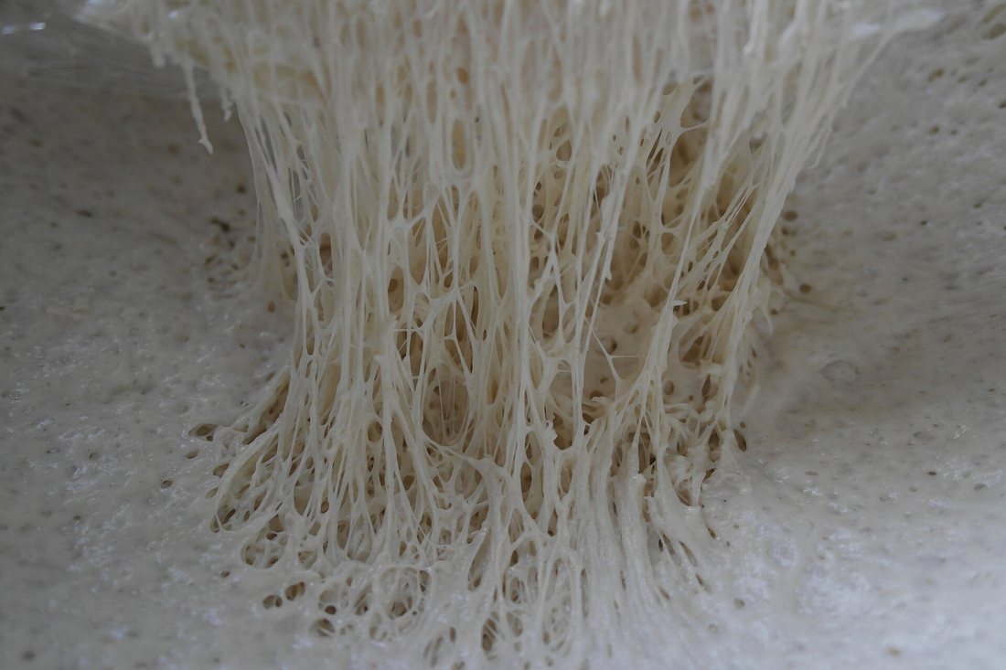 Bread dough pulled apart, with dense white strands of gluten stretched between the two torn surfaces