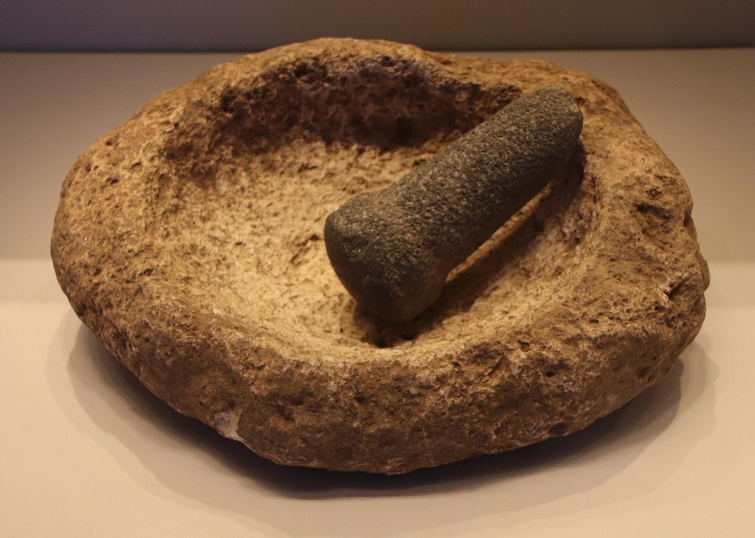 A shallow stone mortar with an elongated pestle lying in it, in a museum