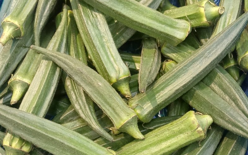 Okra
