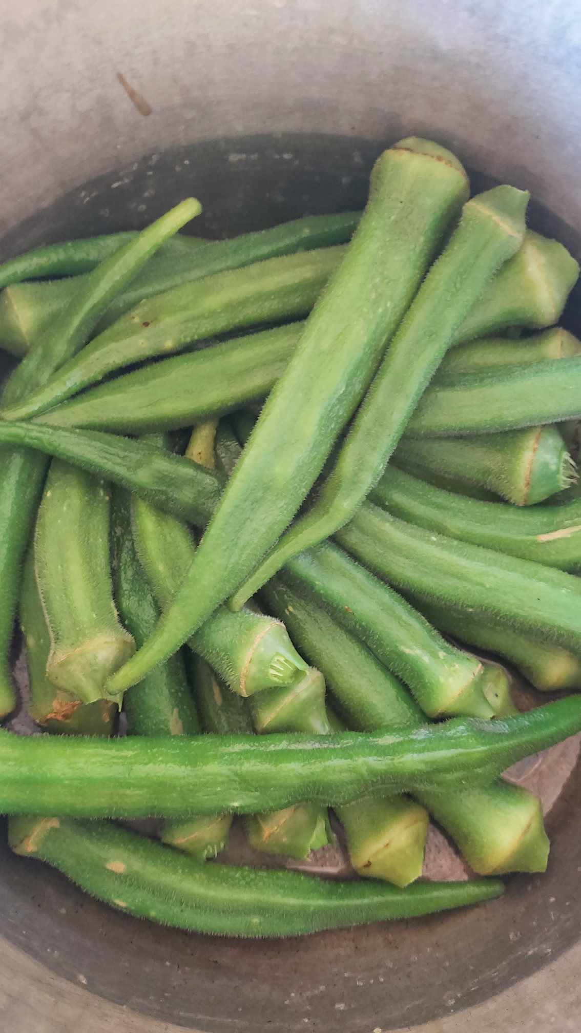 Okra cooking down