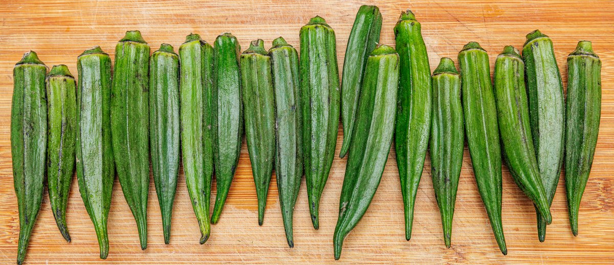 Okra pods laid out in a row — small ones, which are the ones you want