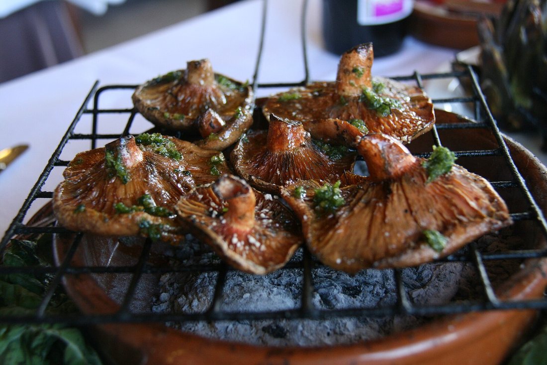 Saffron milk caps grilling on a wire rack over coals, glossy with oil and scattered with herbs