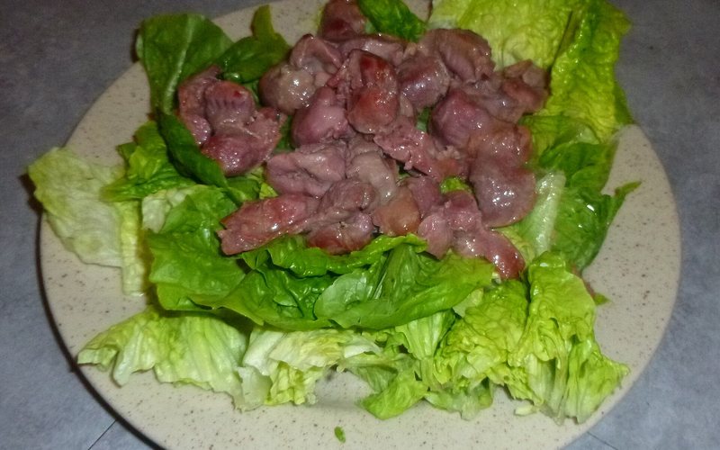 Gizzards