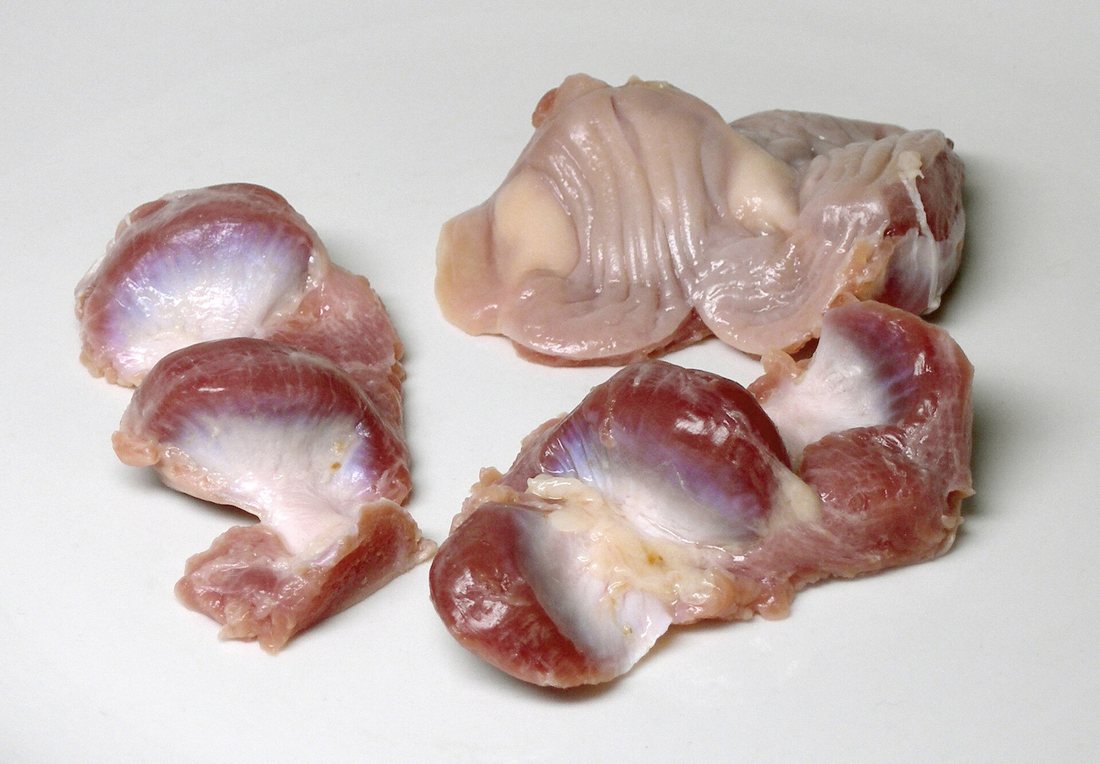 Raw chicken gizzards, some cut in half to show the dense muscle and the inner lining