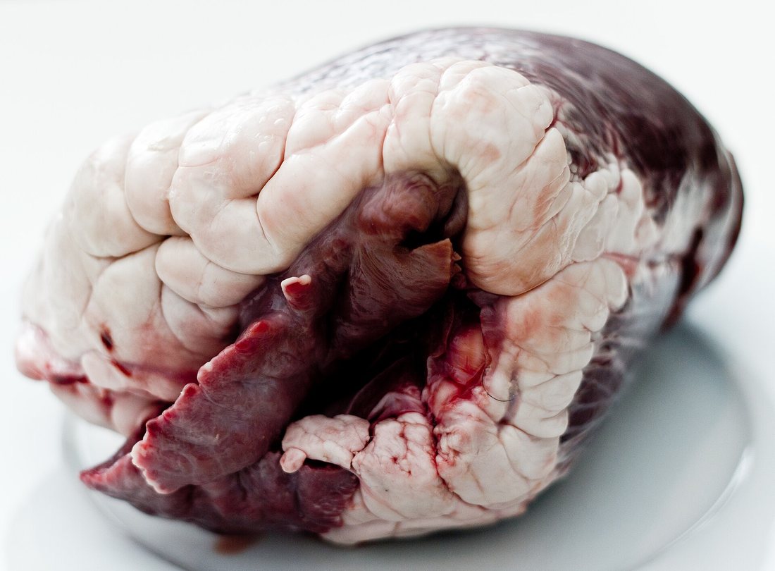 A whole raw beef heart with its fat cap and vessels, on white