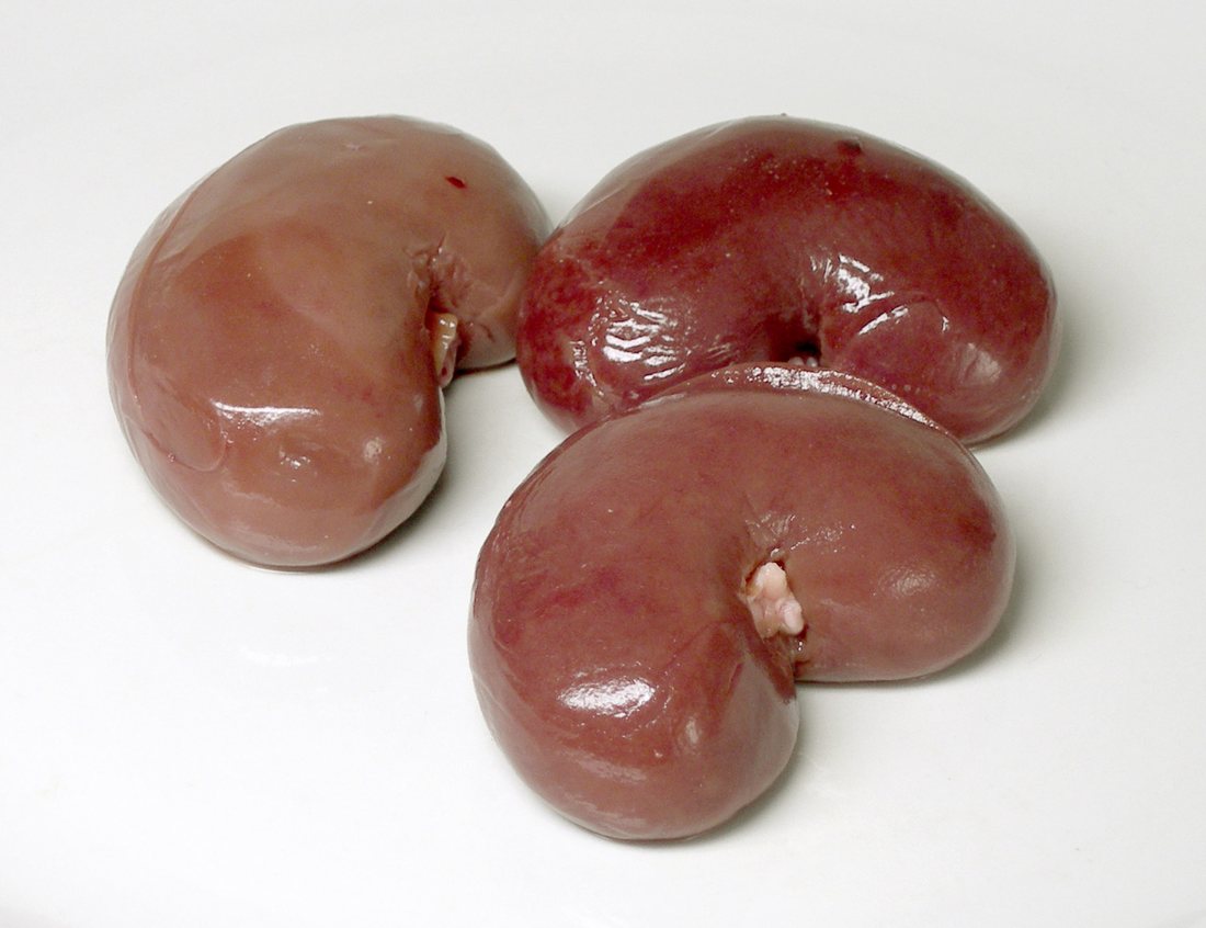 Three whole raw lamb kidneys on a white background