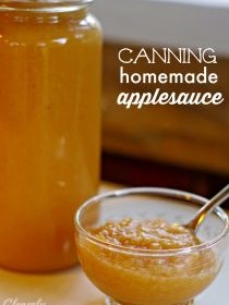 Applesauce, Canned (Spiced too)