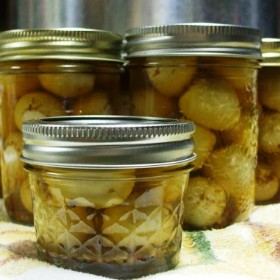 Cajun Pickled Quail Eggs