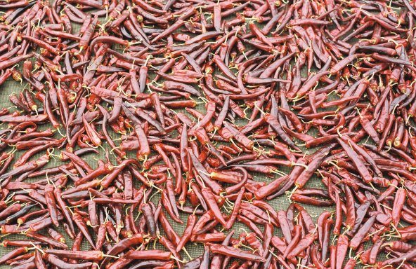 Cayenne Pepper Sauce (NCHFP, Canned)