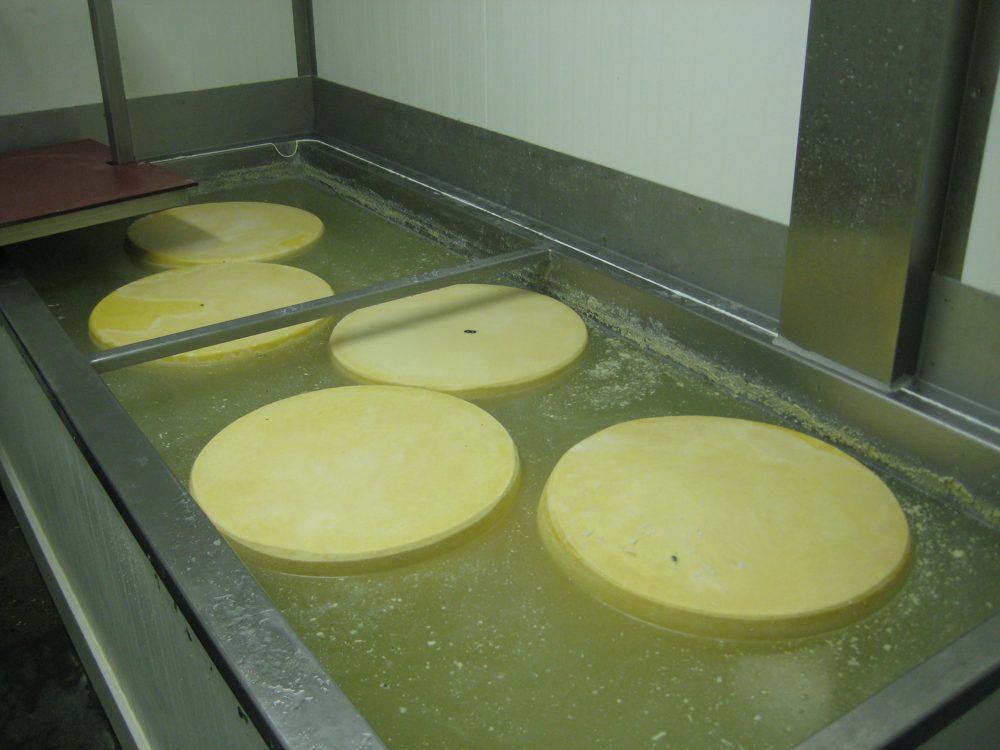 Cheese Brine, Saturated