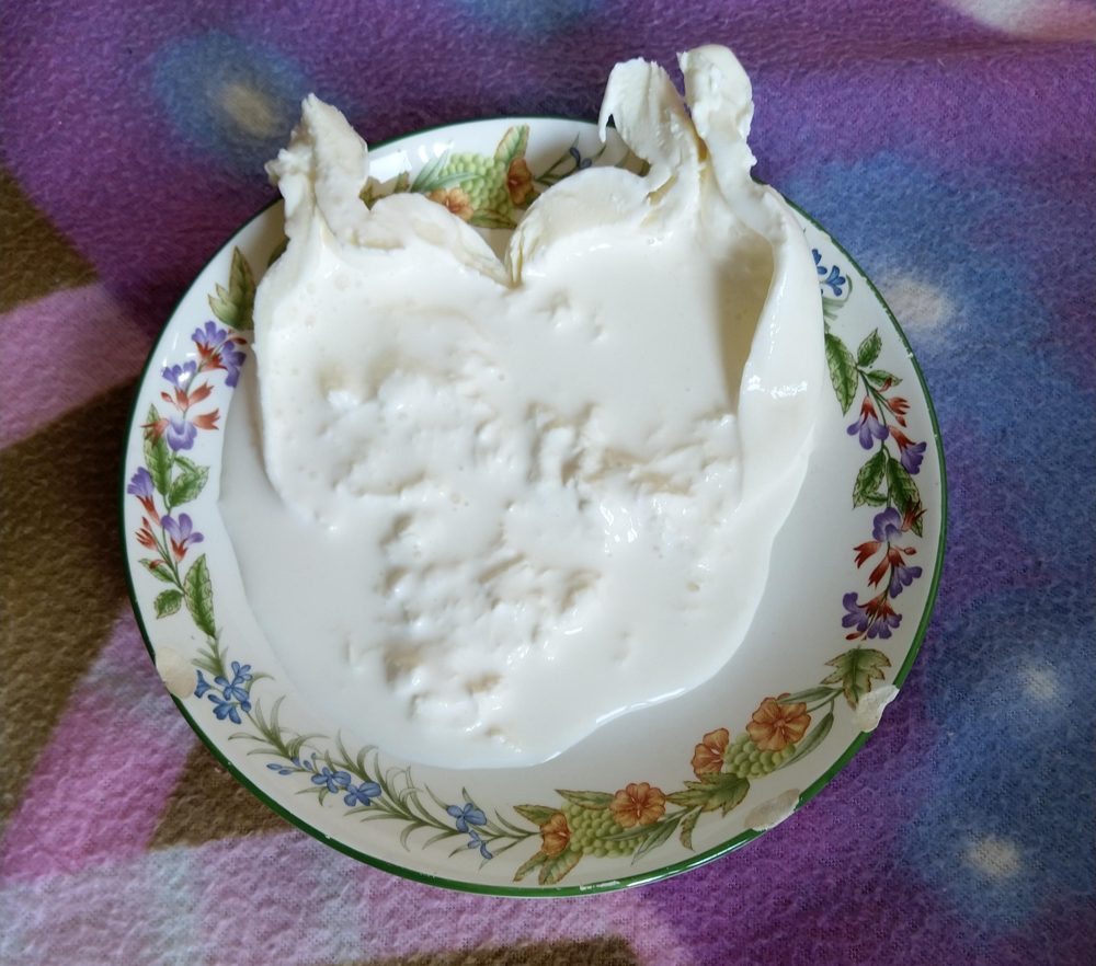 Cheese, Burrata