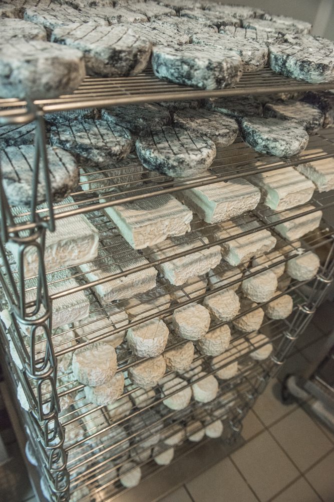 Cheese, Chèvre (Fresh Goat)
