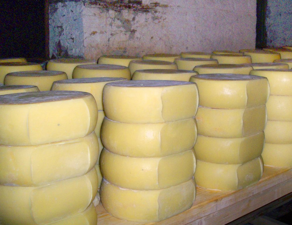 Cheese, Kashkaval