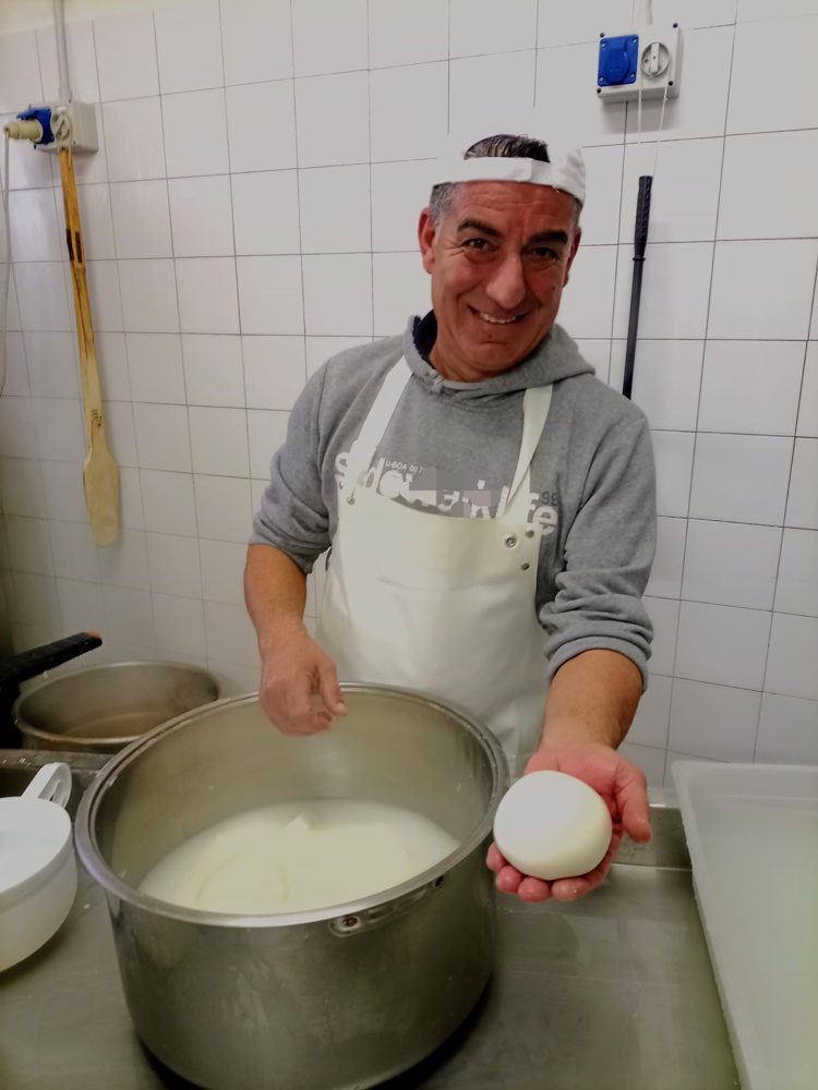 Cheese, Mozzarella (Cultured)