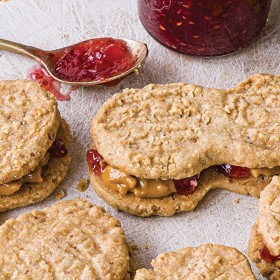 Cookies, Peanut Flavored and Shaped