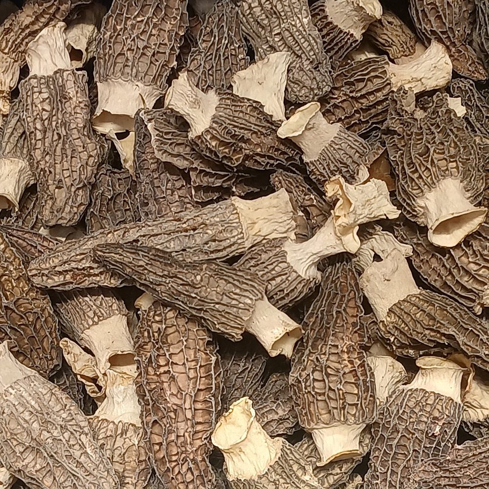 Dried Morel Butter