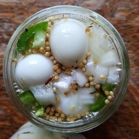 Easy Pickled Quail Eggs