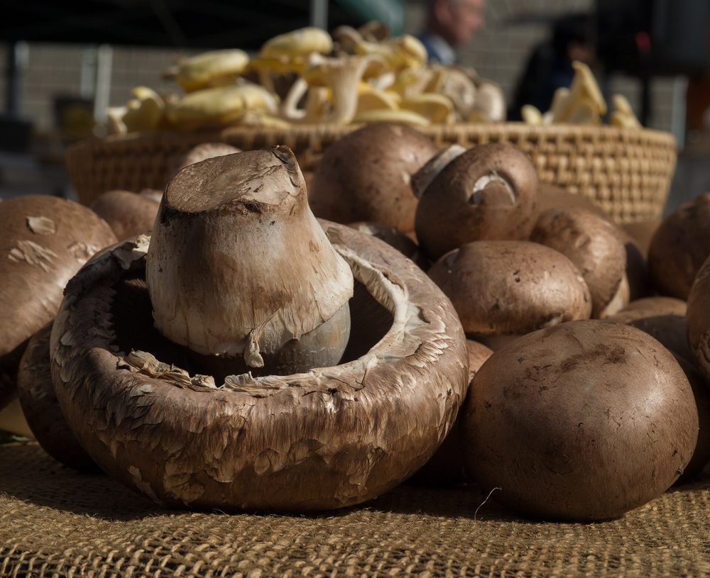 Freezing Mushrooms