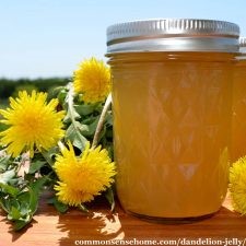 Jelly, Dandelion, Canned